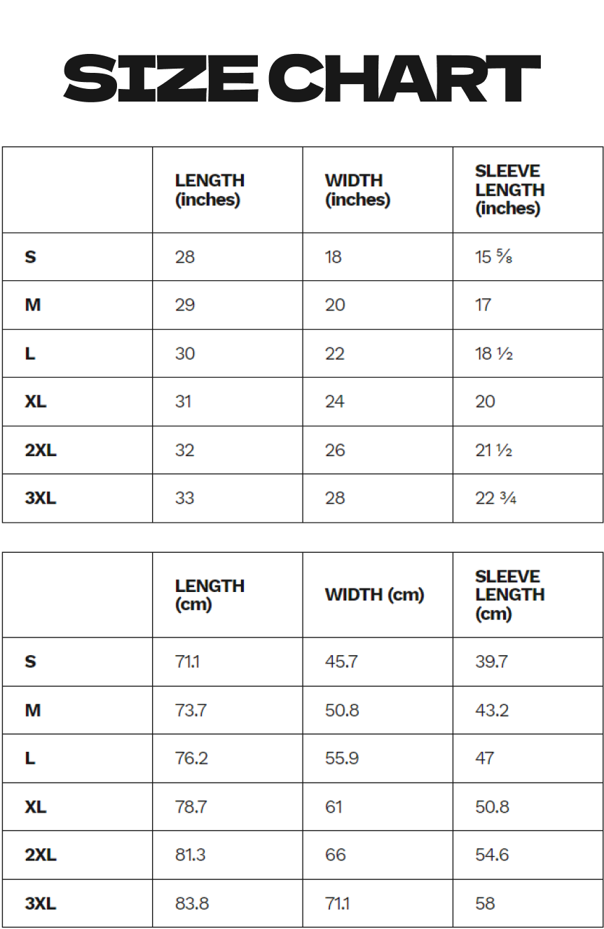 Size chart for a T-shirt, showing measurements for length, width, and sleeve length in both inches and centimeters for sizes S, M, L, XL, 2XL, and 3XL.